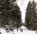 IMG_0076.JPG