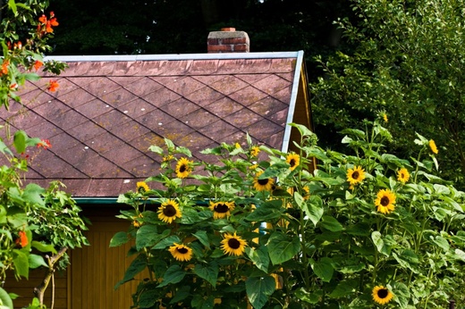 Zahradničení